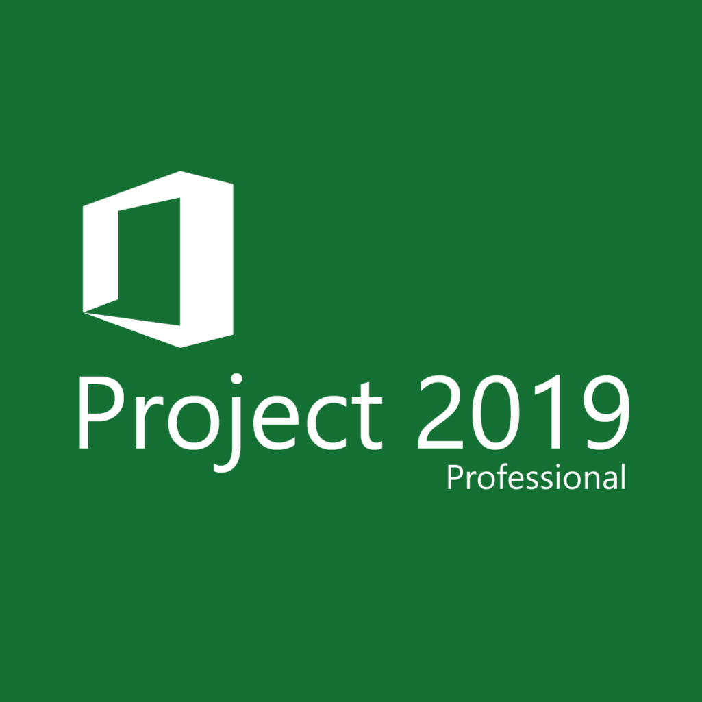 Обложка Microsoft Project Pro 2019