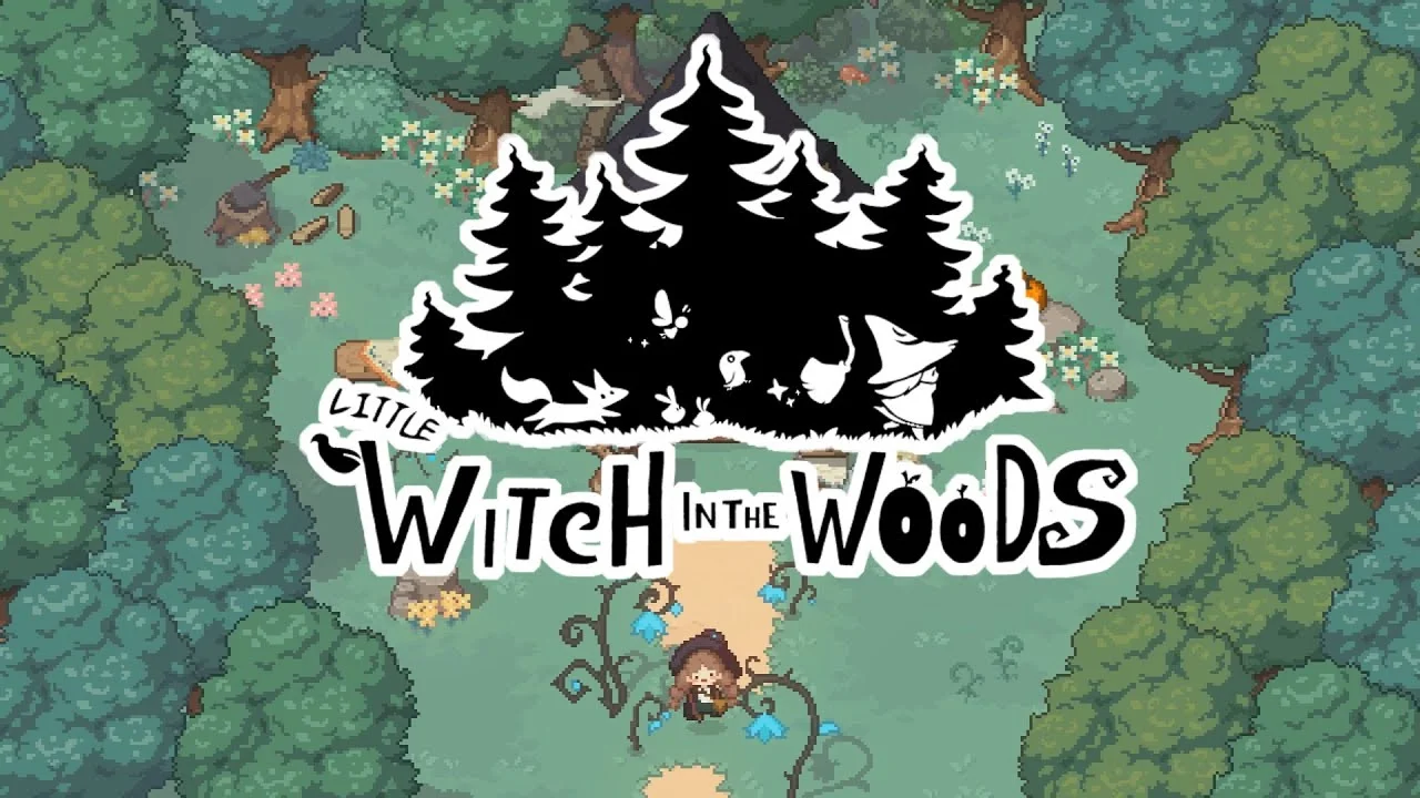 Обложка Little Witch in the Woods